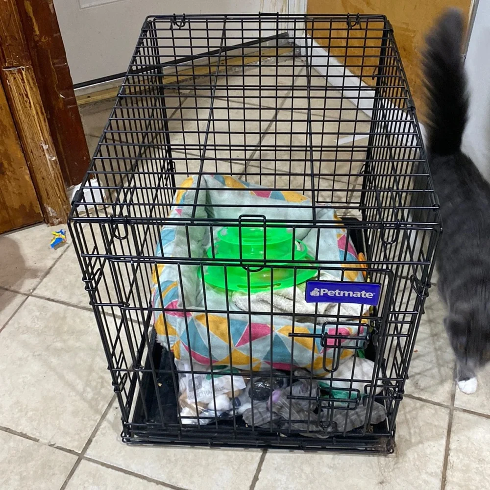 just a dog crate